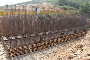 倒排工期，全力推進(jìn)環(huán)山路改建工程高質(zhì)量建設(shè)